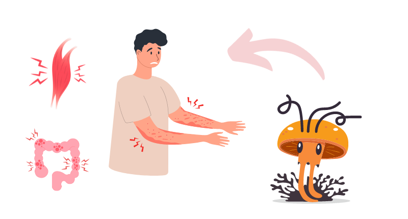 cordyceps and inflammation
